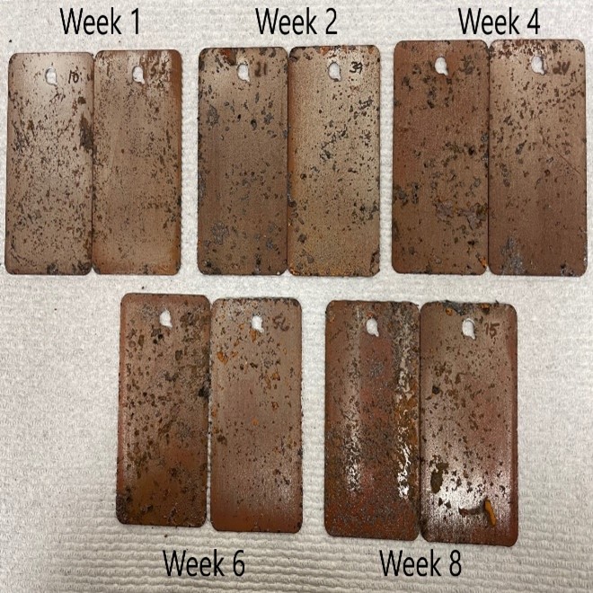 Fig. 6: Precorroded control panels